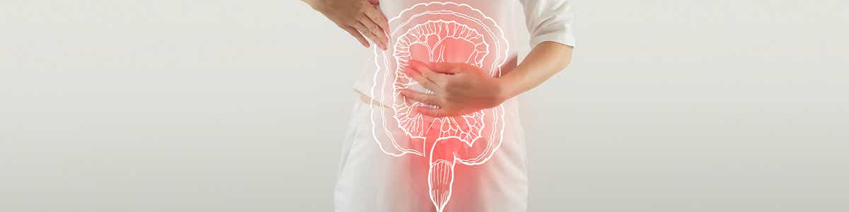 Verdauungstrakt (Mund, Speiseröhre, Magen- und Darm-Trakt)