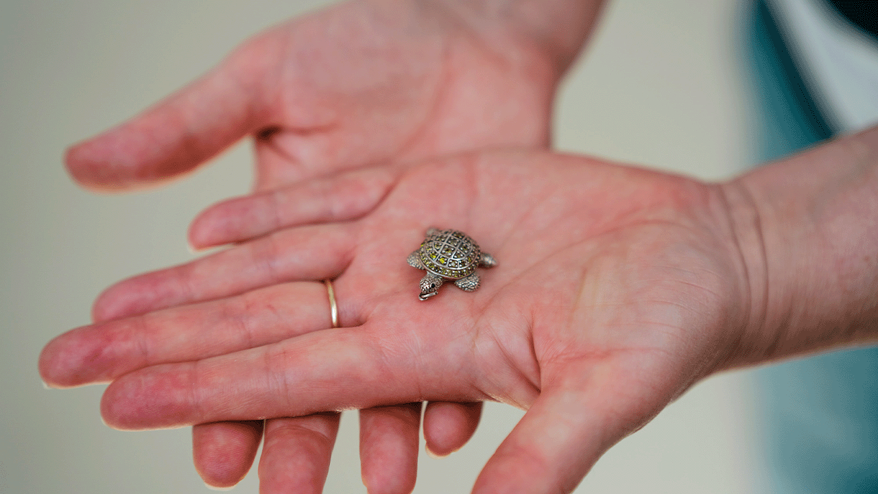 Monika zeigt ihren Schildkröten-Anhänger