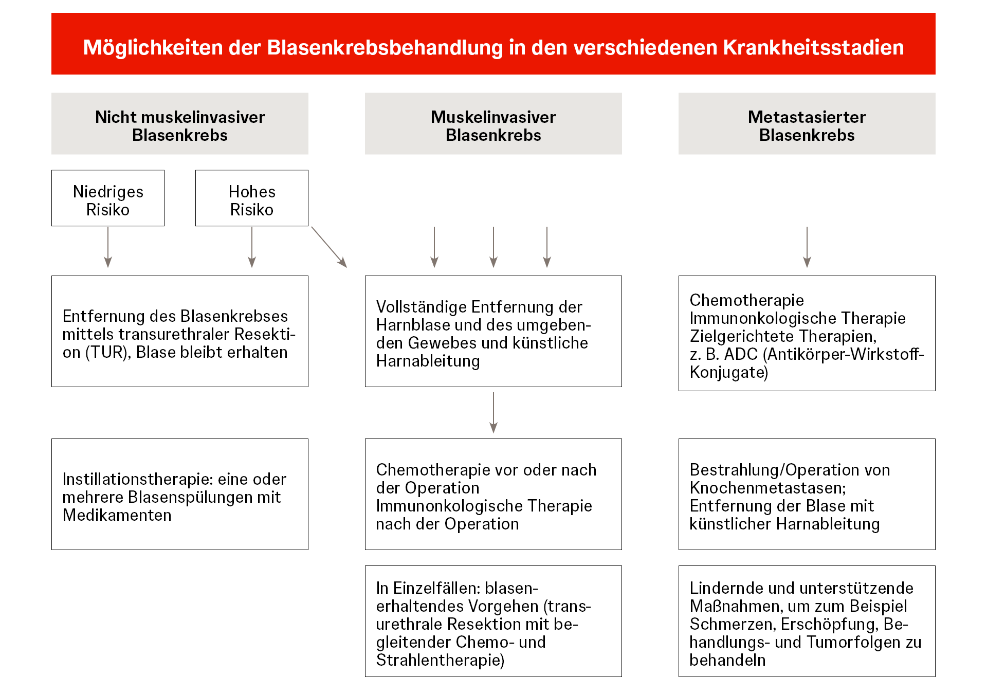 Grafische Darstellung der Blasenkrebs-Behandlung in den einzelnen Stadien.