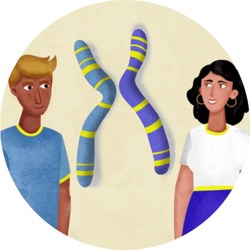 Retinitis pigmentosa (RP) Definiton, Ursachen, Behandlung JanssenWithMe