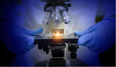 Eine Probe wird untere einem Mikroskop untersucht.