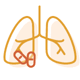 PAH durch Medikamente oder Toxine: Illustration Lunge