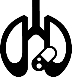PAH durch Medikamente oder Toxine: Illustration Lunge PAH durch Medikamente oder Toxine: Illustration Lunge