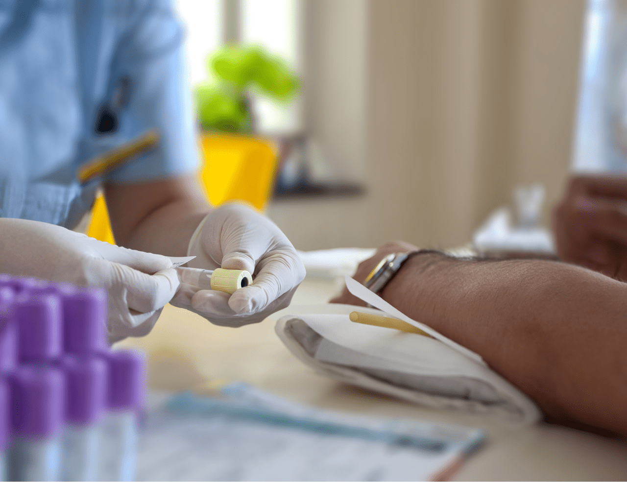 Welchen Stellenwert hat die Stammzelltransplantation in der Therapie der CLL?