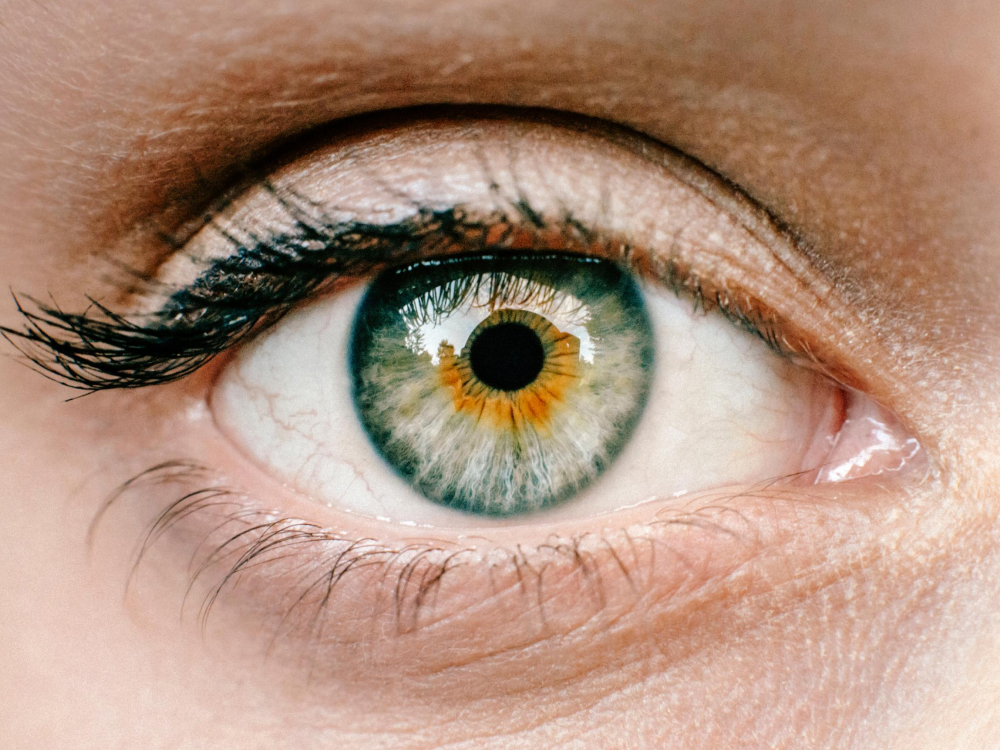 Retinitis pigmentosa