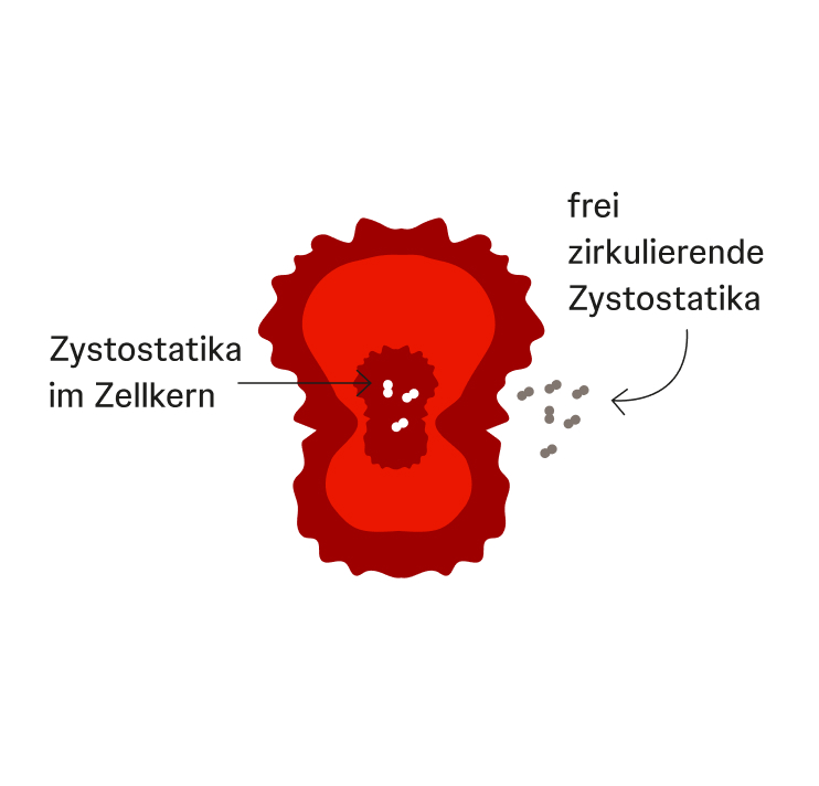 Schematische Darstellung einer teilungsfähigen Tumorzelle mit Zytostatika im Zellkern und außerhalb der Zelle.