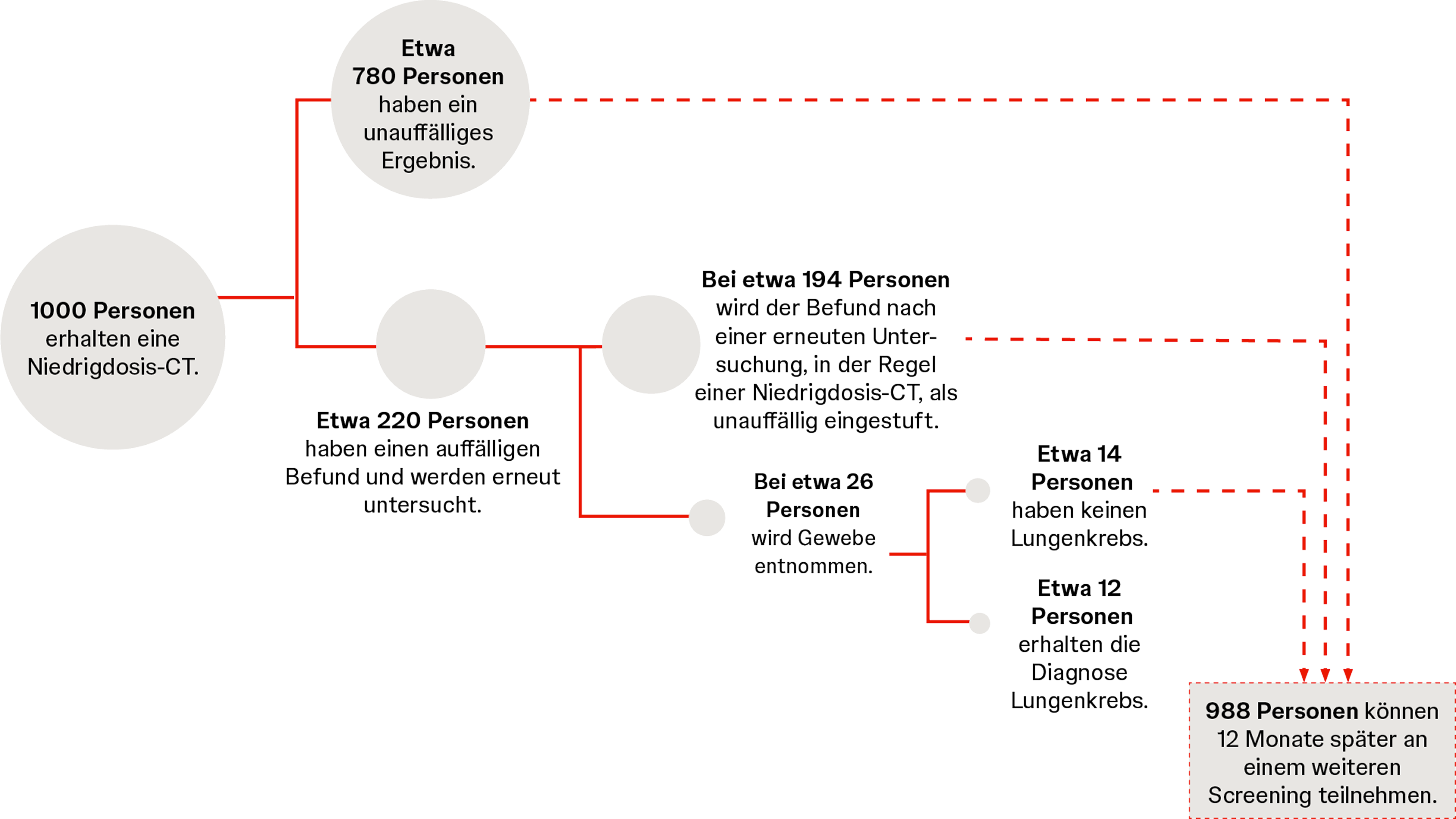 Infografik zum Ablauf des Lungenscreenings von der Niedrigdosis-CT bis zur Diagnose oder weiteren Vorsorgeuntersuchung