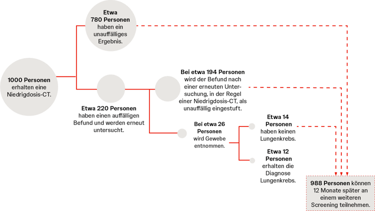 Ablauf eines Lungenscreenings Infografik zum Ablauf des Lungenscreenings von der Niedrigdosis-CT bis zur Diagnose oder weiteren Vorsorgeuntersuchung