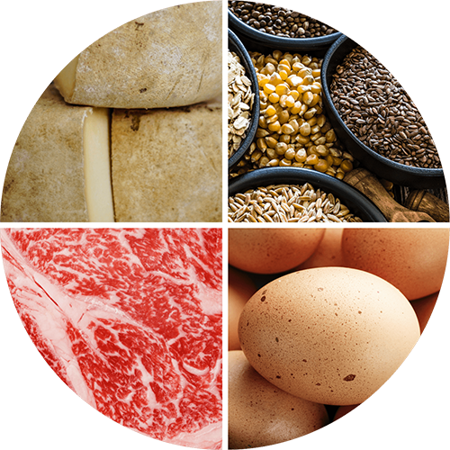 Protein: Getreide, Eier, Fleisch, Milchprodukte