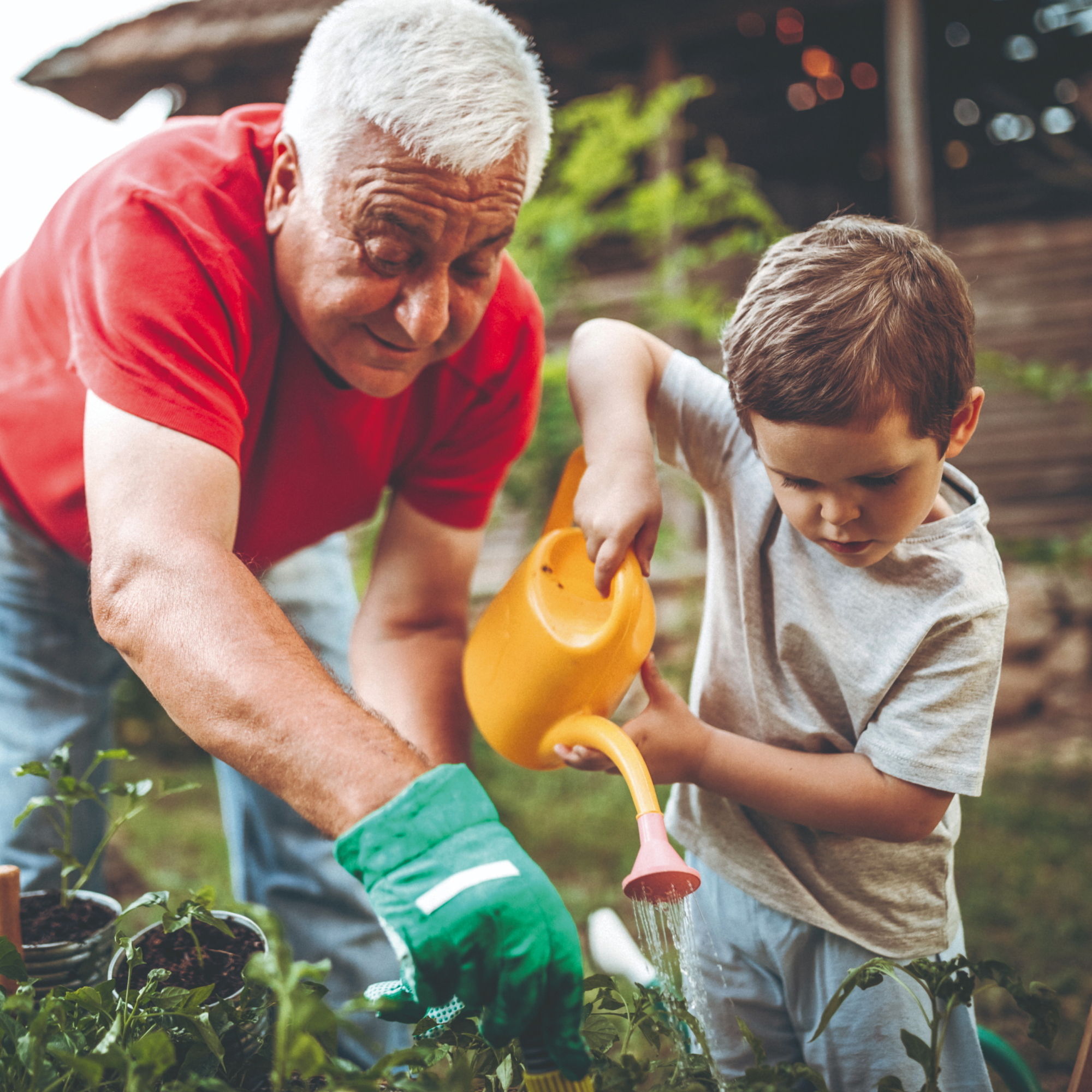 Großvater und Enkelkind arbeiten gemeinsam im Garten; das Kind hält eine Gießkanne in der Hand.