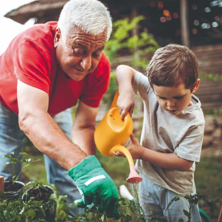 Herausforderungen im Alltag mit Krebs bewältigen Großvater und Enkelkind arbeiten gemeinsam im Garten; das Kind hält eine Gießkanne in der Hand.