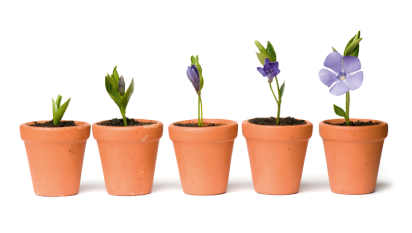 Wie lange dauert die Behandlung?