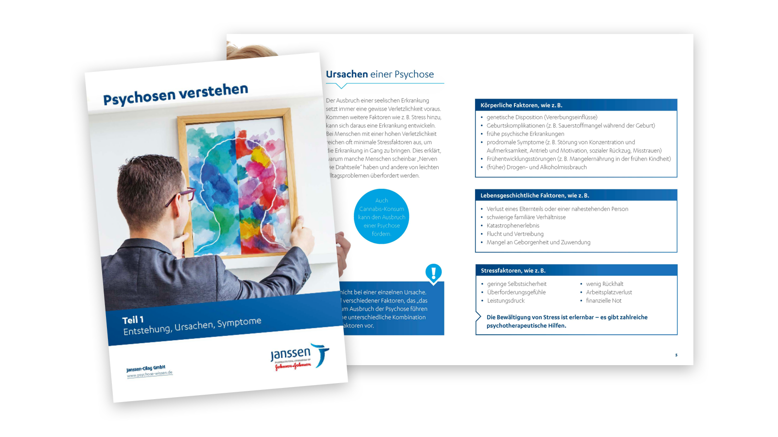 Broschüre Psychosen verstehen