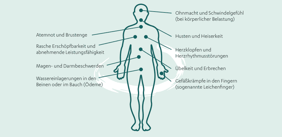 Symptome des Lungenhochdrucks: Illustration menschlicher Körper