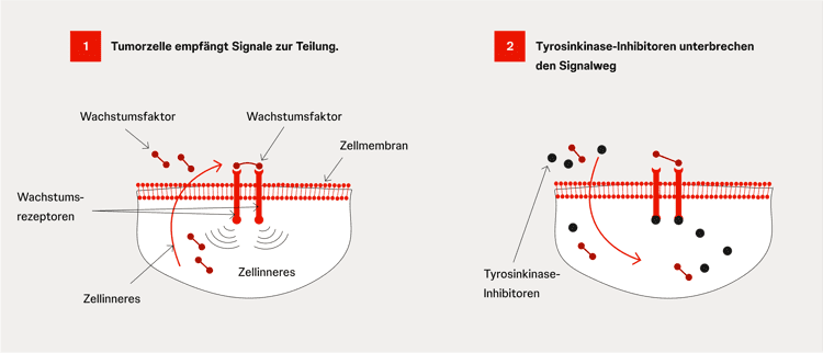 Wirkprinzip von Tyrosinkinase-Inhibitoren Schematische Darstellung des Wirkprinzips von Tyrosinkinase-Inhibitoren: Blockade von Wachstumssignalen.