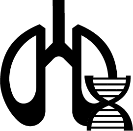 Vererbte PAH: Illustration Lunge