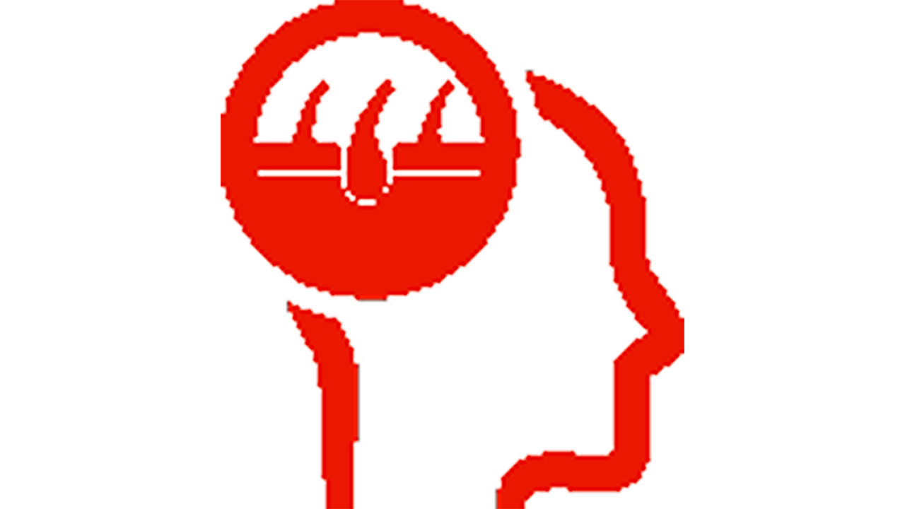 Icon Kopf mit Fokus auf die Haare –  Symbol für Kopfhautpflege