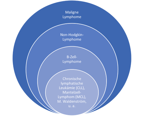 Begriffe zur Chronische lymphatische Leukämie (CLL)