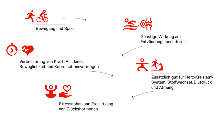 PSA Infografik Möglichkeiten der Bewegung