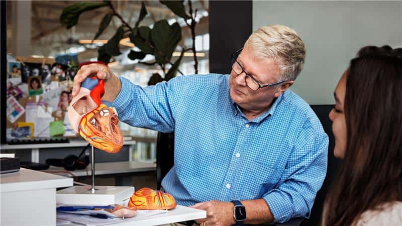 Eine Mann demonstriert einer Frau ein detailliertes anatomisches Herzmodell in einem modernen Büro. Das Modell wird genutzt, um den Aufbau des menschlichen Herzens anschaulich zu erklären. Im Hintergrund sind Pflanzen und eine Pinnwand mit Fotos zu sehen.