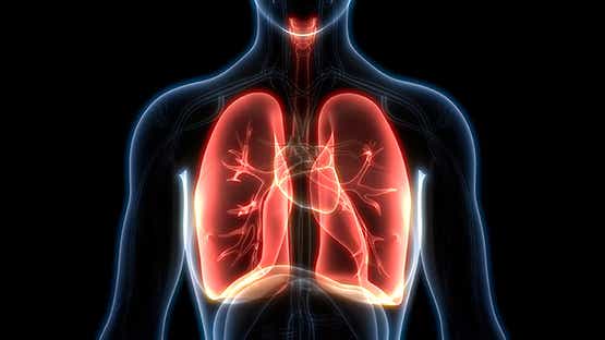 Erkrankungen: Stilisierte Darstellung eines Körpers mit Hervorhebung der Lunge und Atemwege #JWM