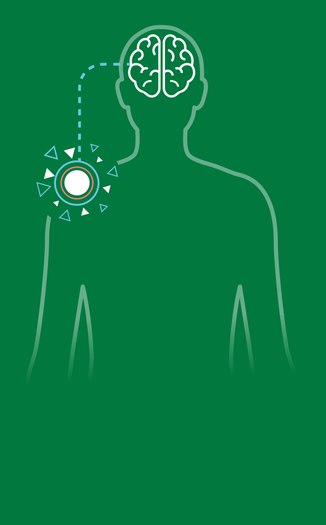 Texte de la bannière à côté de l’illustration d’un cerveau avec une icône de signal de douleur sur fond vert.