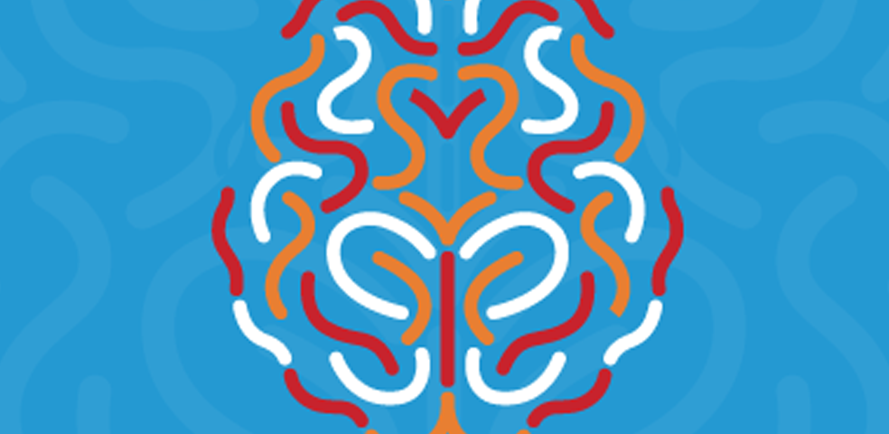 Guia Prático das Pessoas com Doença Mental