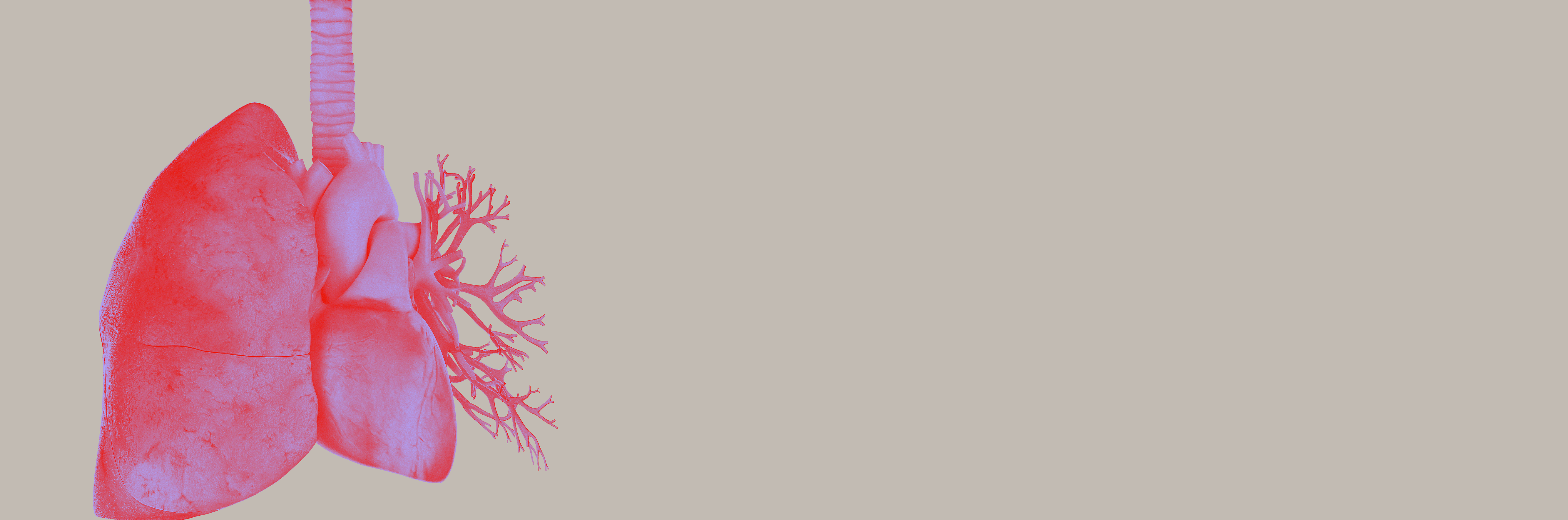 Hipertensão Arterial Pulmonar (HAP)