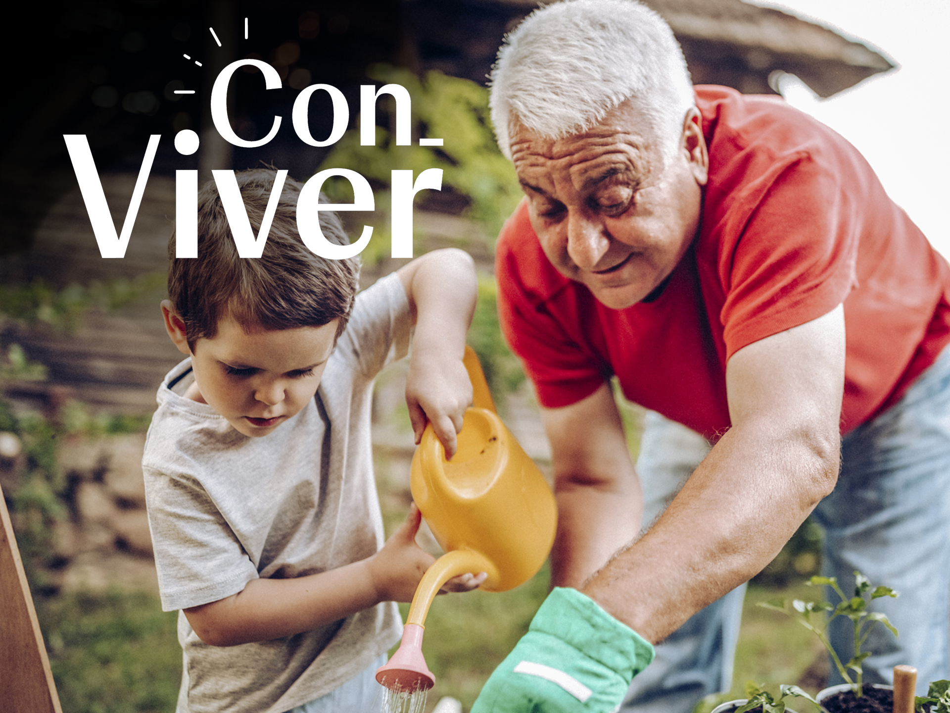 Card-biblioteca_conviver