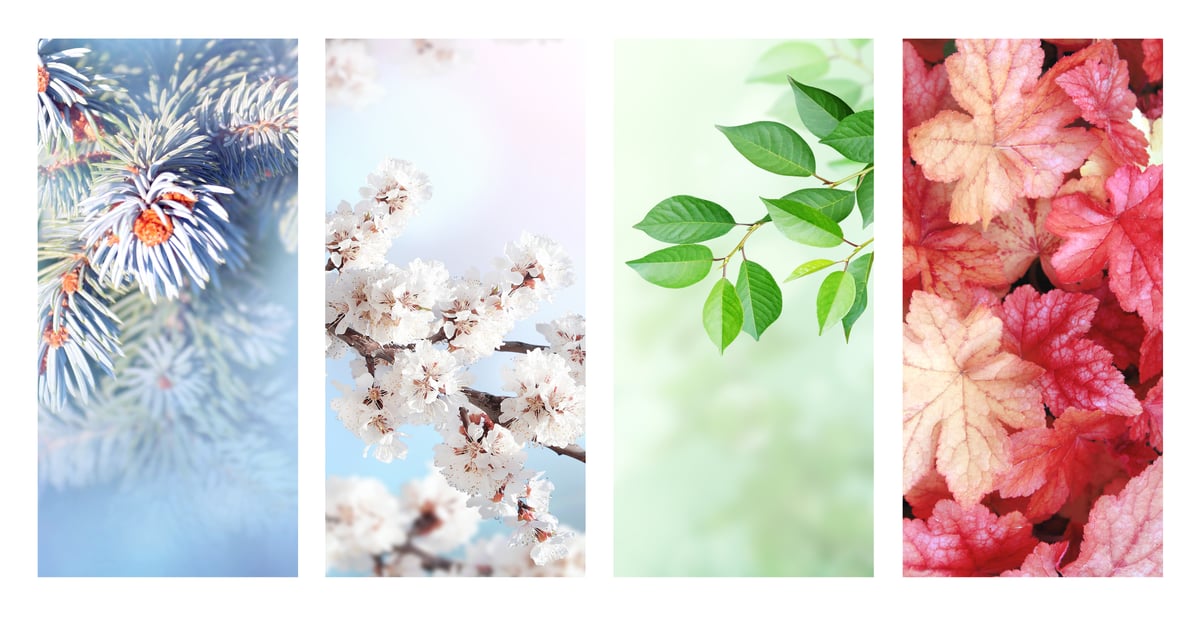 Seasonality and How it Can Affect Your Offerings