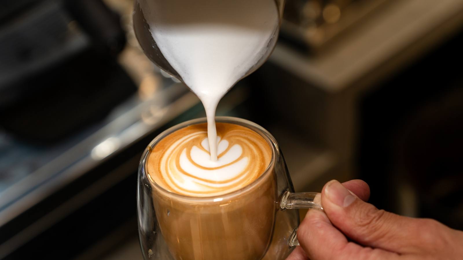 The Loaf Cafe and Bakery