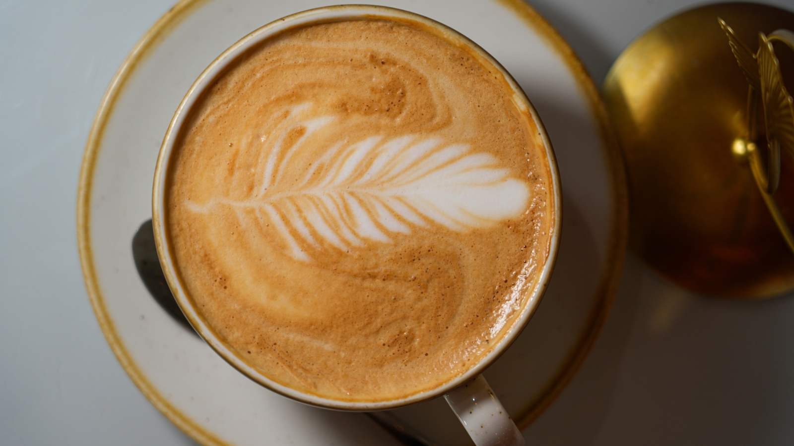 Lilly Café Ltd