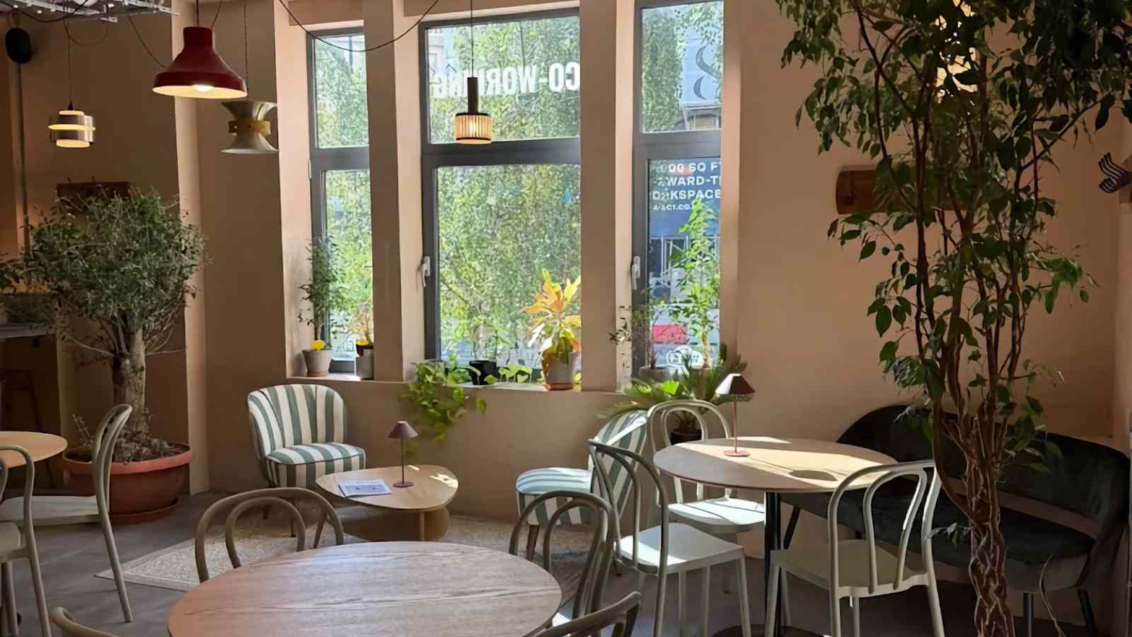 Matcha Mochi at The Brew