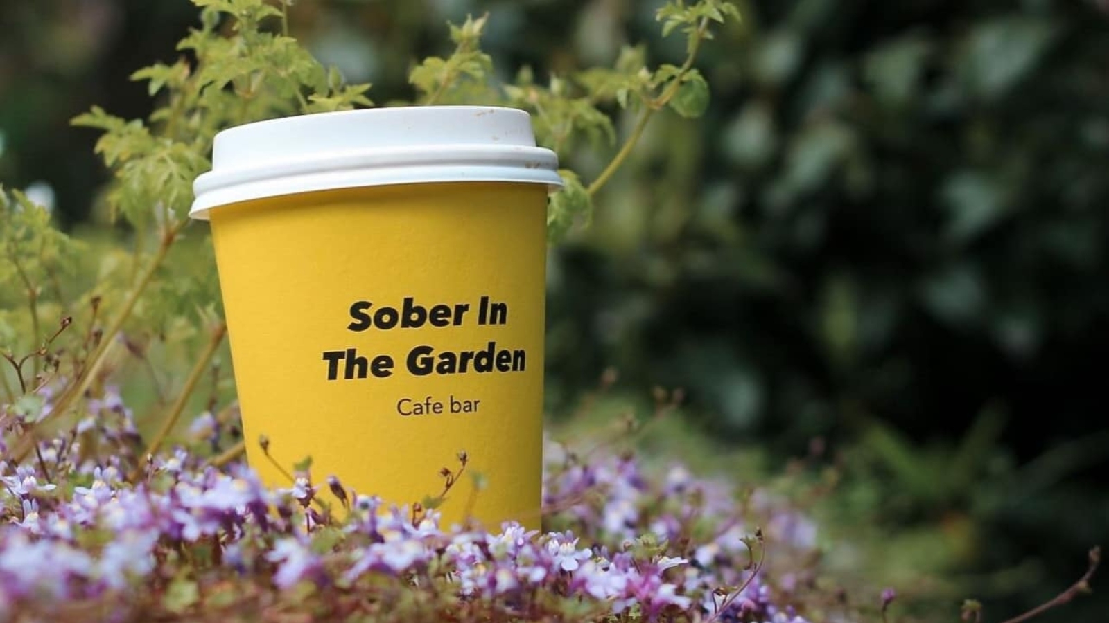 Sober In The Garden
