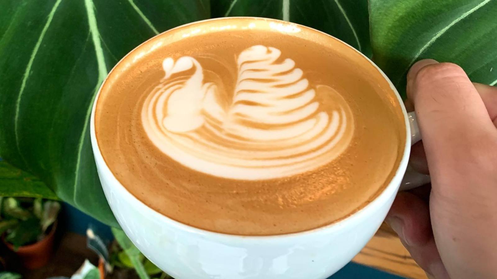 O'Hara's Coffee House
