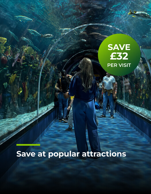 Save £32 per days out visit (2 people)