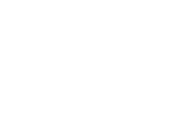 Zizzi logo white