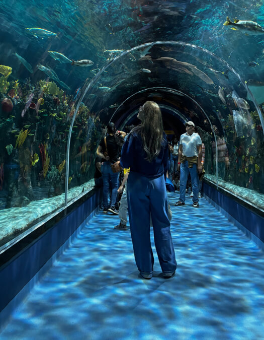 A woman in an aquirium observing fish