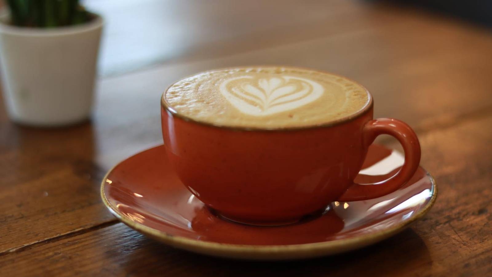 Cafe Natura