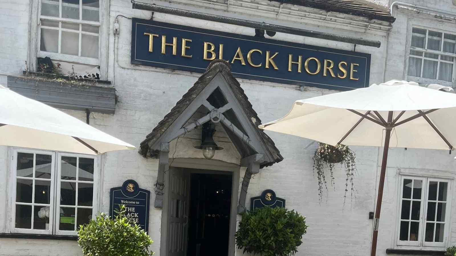 Black Horse