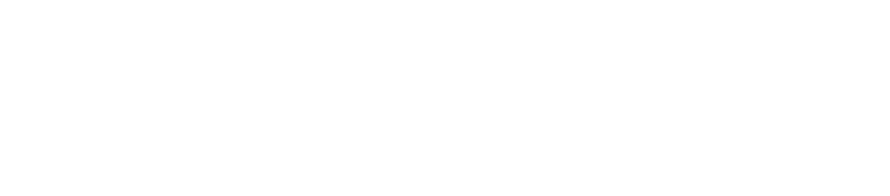 Revolution logo white