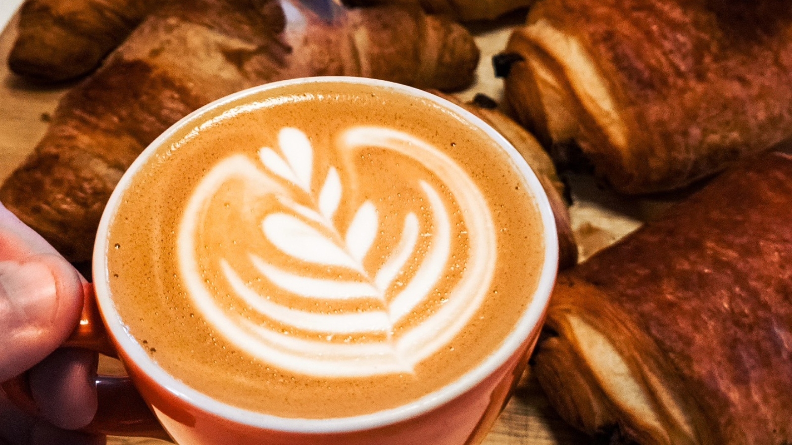 EXE Coffee Roasters