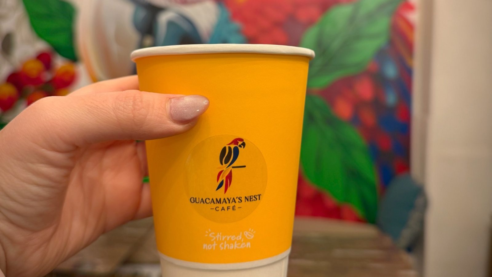 Guacamaya's Nest Café