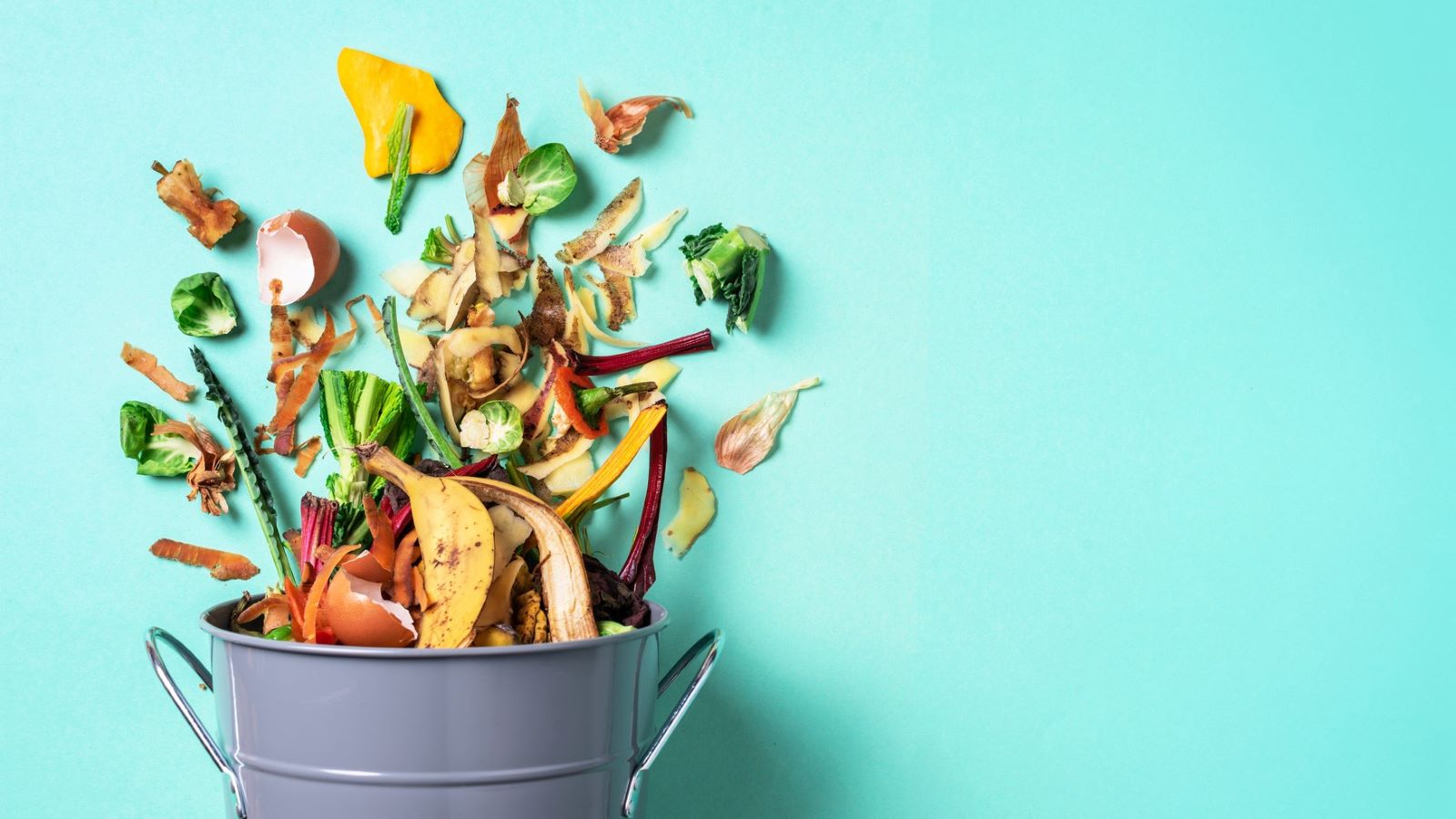 Spinning food waste into sustainable nutraceutical ingredients