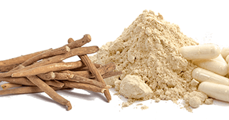Taiga Root Powder Programmes Hub | Vitafoods Insights