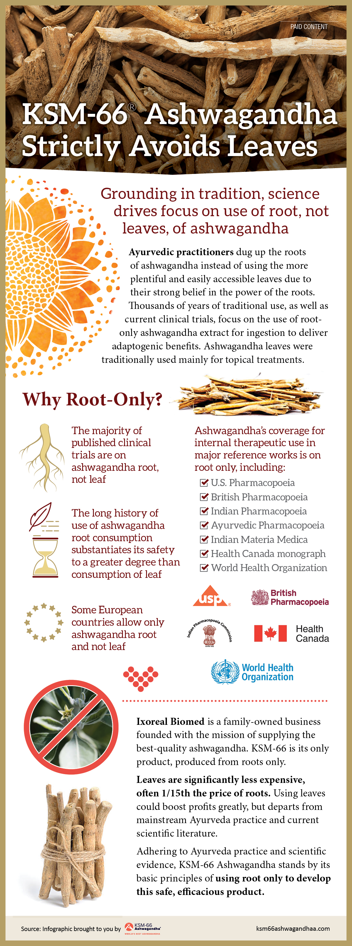 ashwagandha contraindications infographic