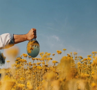 L'Occitane gula blommor på äng