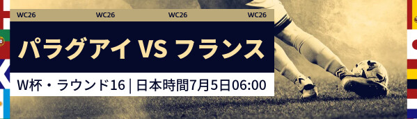 パラグアイ vs フランス
