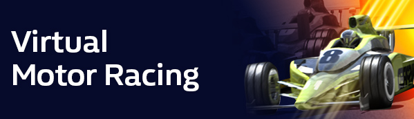Virtual Motor Racing
