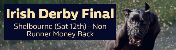 Irish Derby